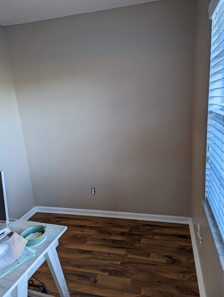 Painting Services in Valrico, FL (3)
