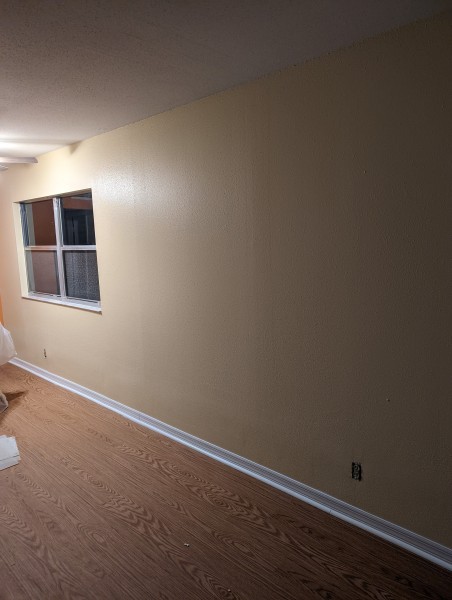 Interior Painting in Mango, FL (1)