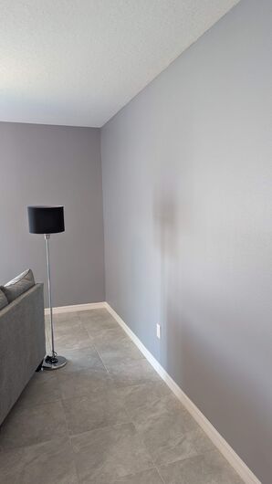 Painting Services in Palmetto, FL (2)