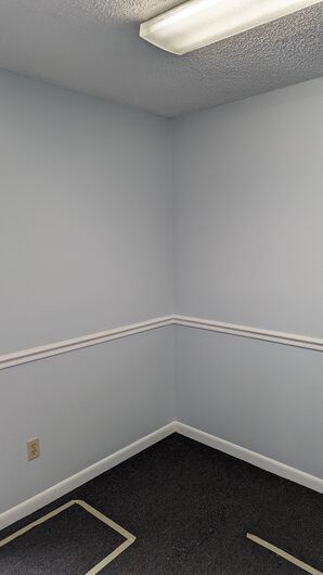 Painting Services in Parrish, FL (1)